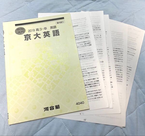 河合塾 2019夏期講習 京大英語