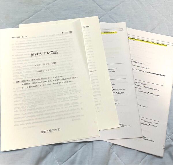 駿台 2018/2019直前講習 神戸大プレ英語