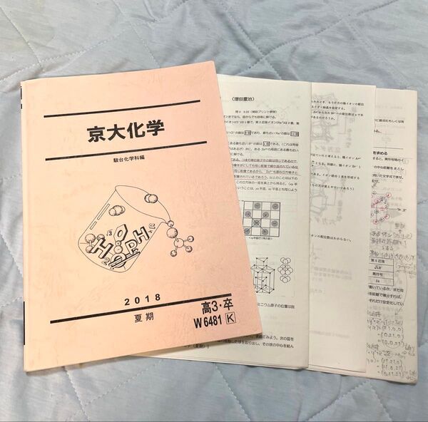 駿台 2018夏期講習 京大化学 増田重治師【特典あり(詳細へ)】
