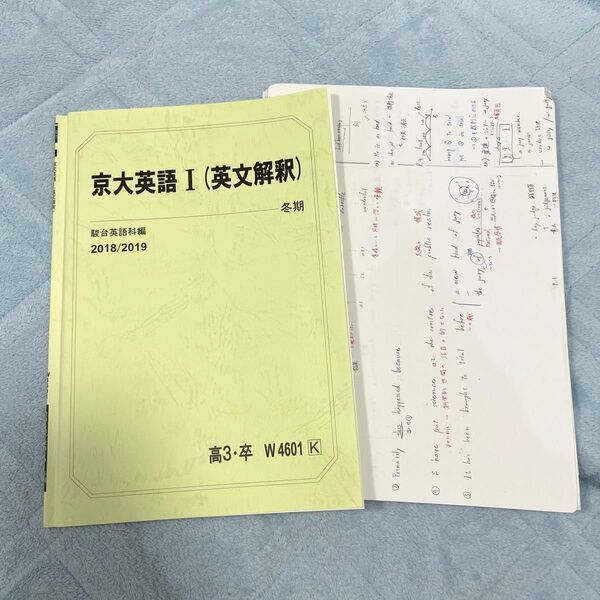 駿台 2018/2019冬期講習 京大英語Ⅰ(英文解釈)