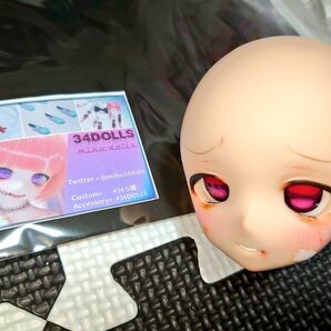 カスタムヘッド ディーラー様メイク ドルフィードリーム