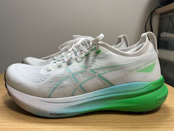 Asics GEL KAYANO 31 ランキングシューズ 26cm