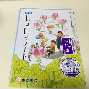 30-71 家庭学習用に！ 書写 しょしゃ 書道 書き方 2年生 二年生 ドリル 勉強 せいしょ 漢字 国語 算数 テキスト 小学生 問題用紙 解答付き