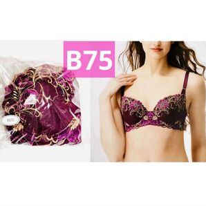 パレッティ ブラジャー(ワイヤー) ボルドー 75B