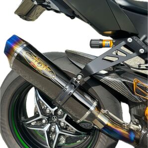 ninja h2カーボンBEET JAPAN NASSERT Evolution Type Ⅱ 2019〜政府認証