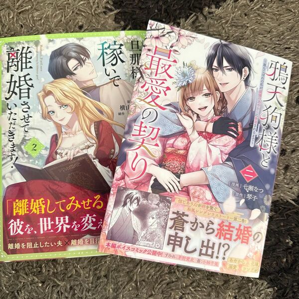 旦那様、稼いで離婚させていただきます! 2、 鴉天狗様と最愛の契り 落ちこぼれの私が、最強のあやかしに執着されるまで 2