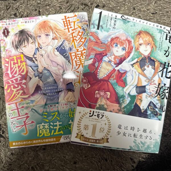 なぜか転移魔法はいつも溺愛王子の元に 魔法練習中の皇女は、初恋こじらせ王子のお気に入り 1 ウィズレイン王国物語~竜が花嫁~ 1