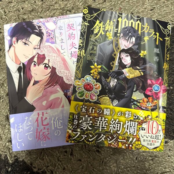 今宵、狼神様と契約夫婦になりまして 1 丹野しろ/漫画 三沢ケイ/原作 條/キャラクター原案 鉄錆と1000カラット 2