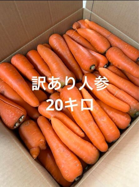 訳あり人参20キロ