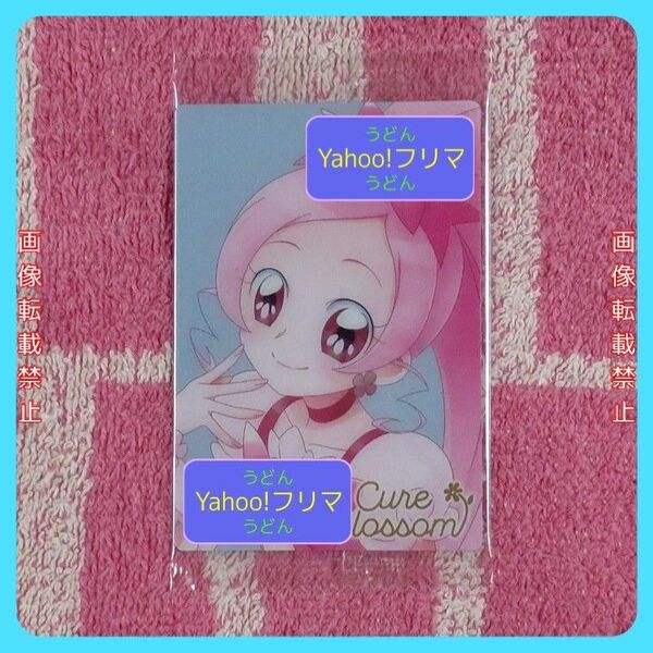 プリキュア カード ウエハース キュアブロッサム HR ハトプリ
