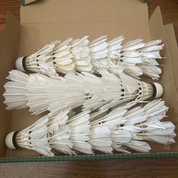 シャトル② 中古 21個 バドミントン 野球 トス バッティング ノック 子供 初心者 ジュニア 練習 キーホルダー ヨネックス