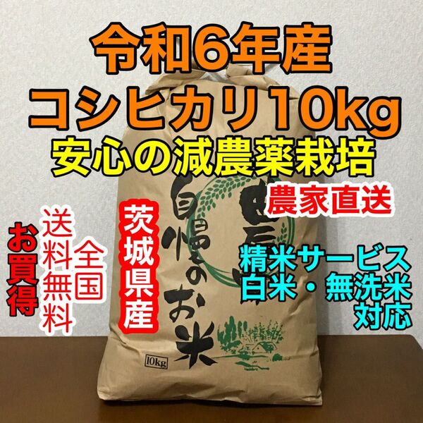 新米コシヒカリ玄米10kg茨城県産※精米サービス(白米)