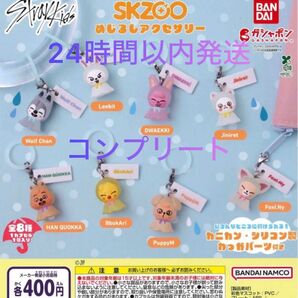 SKZOO めじるしアクセサリー 全8種セット ガチャ 送料無料 匿名配送 stray kids
