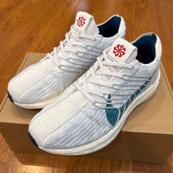 NIKE PEGASUS TURBO NEXT NATURE 25cm ペガサスターボ 25cm