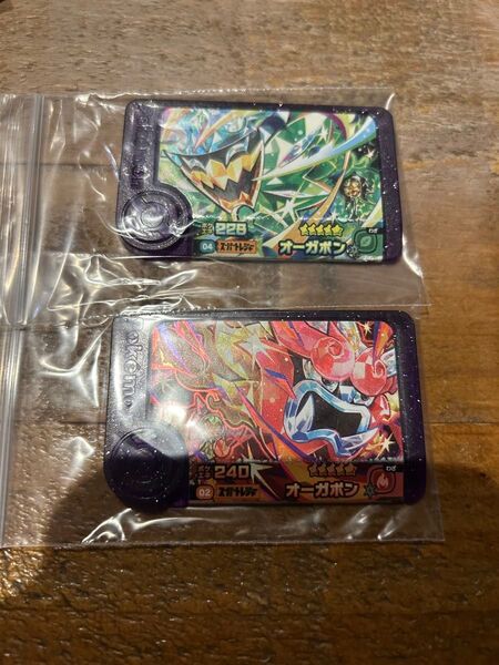 フレンダ オーガポンセット