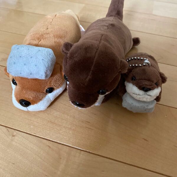 かわうそ カワウソ? こんにゃくパークのぬいぐるみキーホルダー こんにゃくがいっしょ