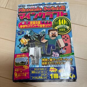 Nintendo Switch版 マインクラフト