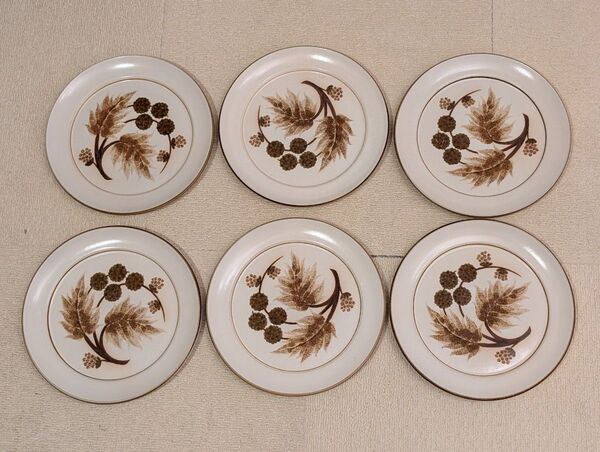 Denby Cotswold 25cm プレート 6枚セット