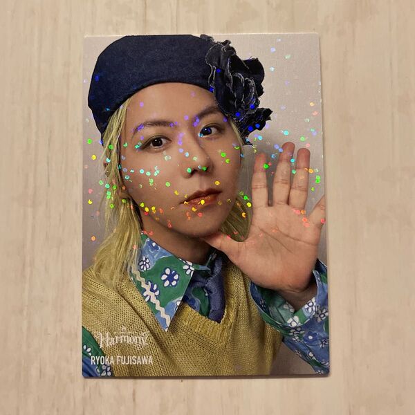 Mrs.GREEN APPLE Harmony フォトカ 048 藤澤涼架 レア