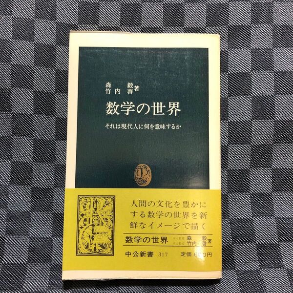 数学の世界 それは現代人に何を意味するか 森毅 中公新書