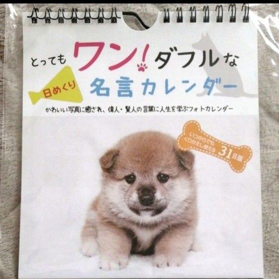 とってもワン!ダフルな日めくり名言カレンダー 31日版 壁掛け 犬 ダイソー イヌ 万年カレンダー 2024バージョン 希少