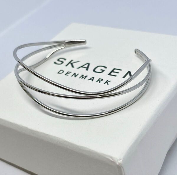 SKAGEN スカーゲン デザイン バングル ブレスレット 箱 保存袋付
