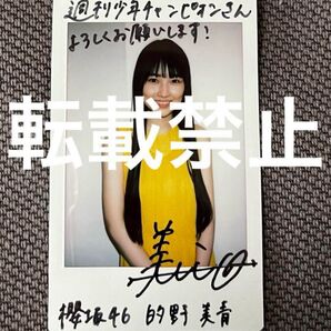 櫻坂46 的野美青 直筆サイン入りチェキ 週刊少年チャンピオン