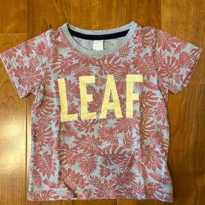 ARCH&LINE リーフ柄 Tシャツ キッズ 105