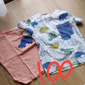 恐竜 Tシャツ 100サイズ