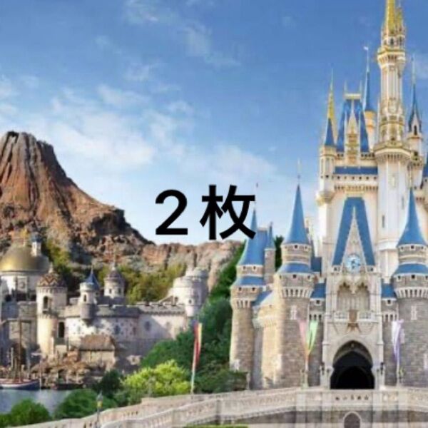 ディズニーチケット ペア2枚 2025年6月30日まで