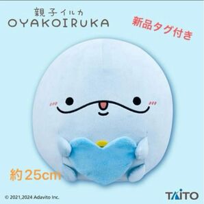 親子イルカぬいぐるみ息子イルカ
