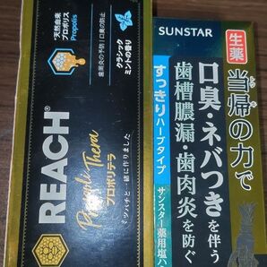 リーチ プロポリテラ SUNSTAR 薬用塩ハミガキ 当帰の力 2点セット