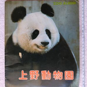 上野動物園 ZOOアルバム オールカラー40ページ