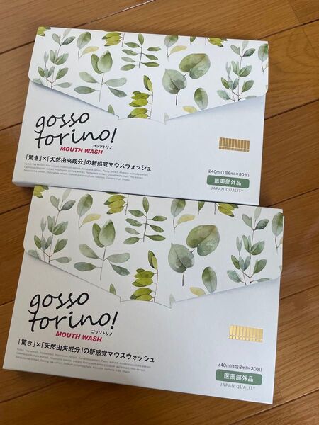 ゴッソトリノ