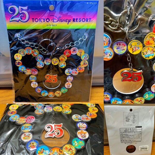 ディズニー TDL25周年キーチェーン レア 記念