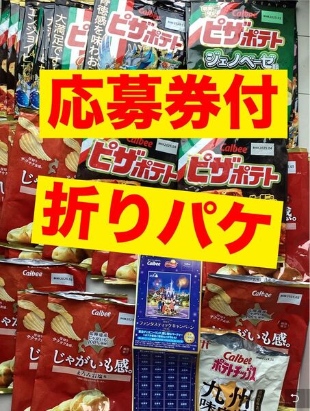 カルビー ファンタスティックキャンペーン 120点分 応募券付 空袋30袋 折りパケ