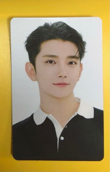 【公式】ジョシュア トレカ Card wallet seventeen セブチ