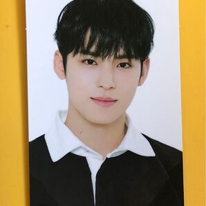 【公式】ミンギュ トレカ Card wallet seventeen セブチ