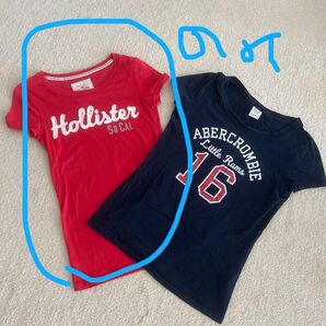 Hollister 半袖Tシャツ