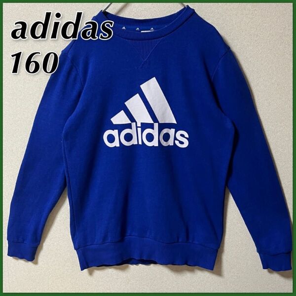 【adidas】 アディダス スウェット キッズ 160 ブルー × ホワイト ビッグロゴ
