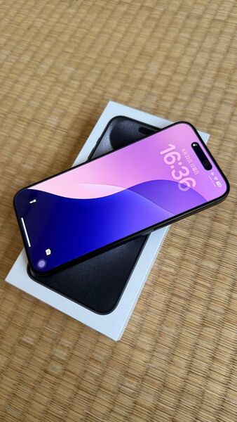 Apple Store購入 iPhone 15 Pro Max 256GB ブラックチタニウム SIMフリー