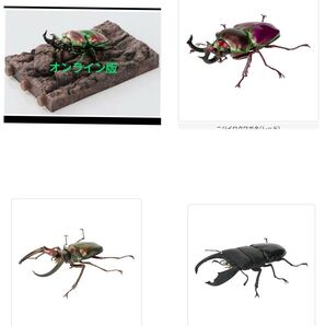 オンライン版 いきもの大図鑑 くわがた10 3体セット ② ④ ⑤