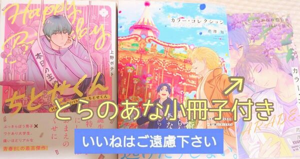 【いいね厳禁】※とらのあな小冊子付き 『カラー・コレクション―PARADE―/芹澤知』