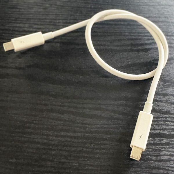 Apple Thunderbolt ケーブル 0.5m