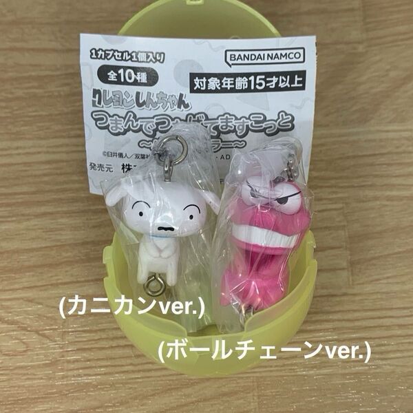 クレヨンしんちゃん つまんでつかってますこっと パステルカラー セット