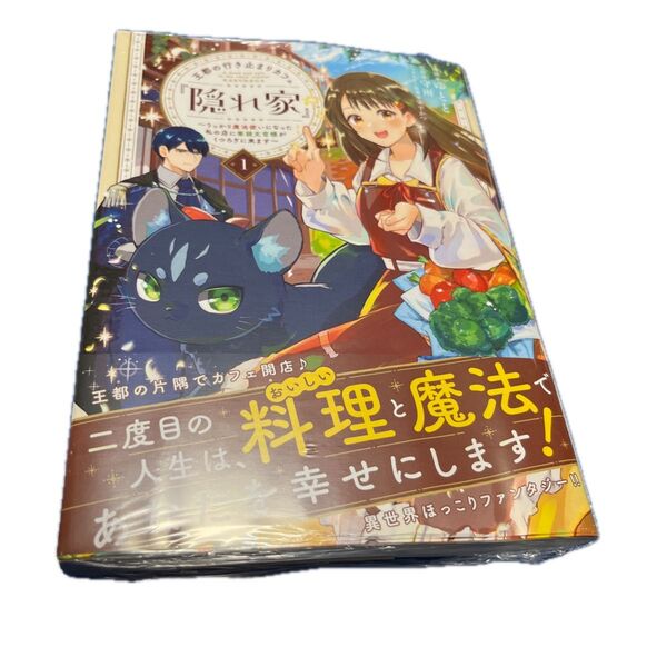 王都の行き止まりカフェ『隠れ家』 うっかり魔法使いになった私の店に筆頭文官様がくつろぎに来ます 1