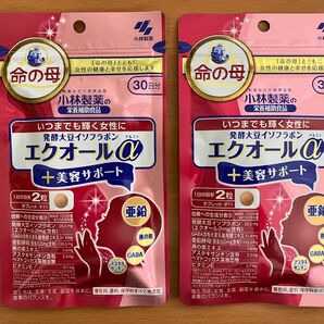 小林製薬 株主優待 発酵大豆イソフラボン エクオールα 美容サポート 60日分(30日分 x 2袋)