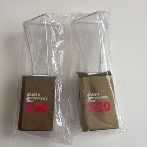 【1度のみ使用】嵐 ARASHI Anniversary Tour 5×20 ペンライト 2個セット