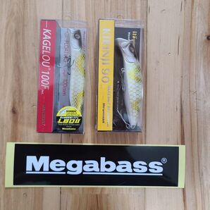 キリンジ カゲロウ 2個セット ホワイトパイソン 2025 エキシビジョンツアー 限定 メガバス Megabass 新品 未使用
