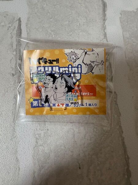 ハイキュー ファンパーク 及川 岩泉 アクリルminiフィギュア アクスタ